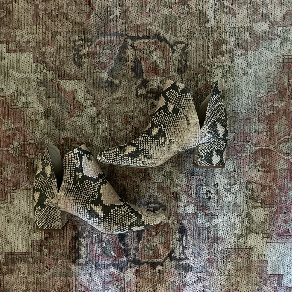 Steve Madden Snake Skin Books